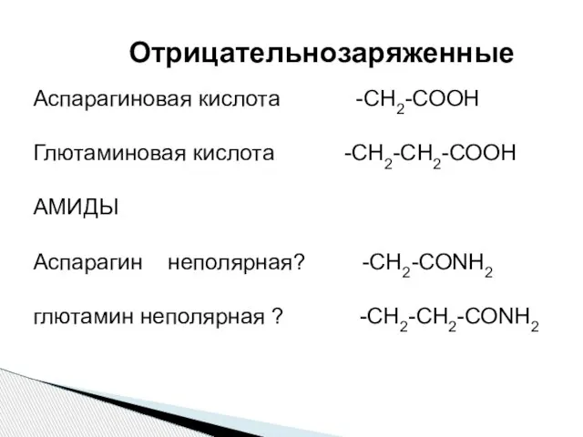 Аспарагиновая кислота -СН2-СООН Глютаминовая кислота -СН2-СН2-СООН АМИДЫ Аспарагин неполярная? -СН2-СОNH2 глютамин неполярная ? -СН2-СН2-СОNH2 Отрицательнозаряженные