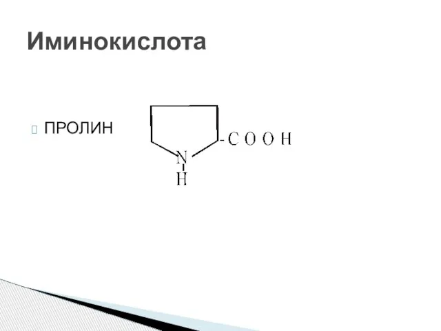 ПРОЛИН Иминокислота