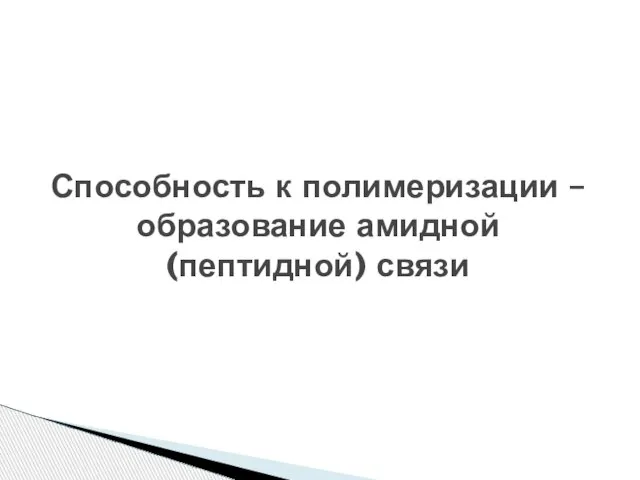 Способность к полимеризации – образование амидной (пептидной) связи