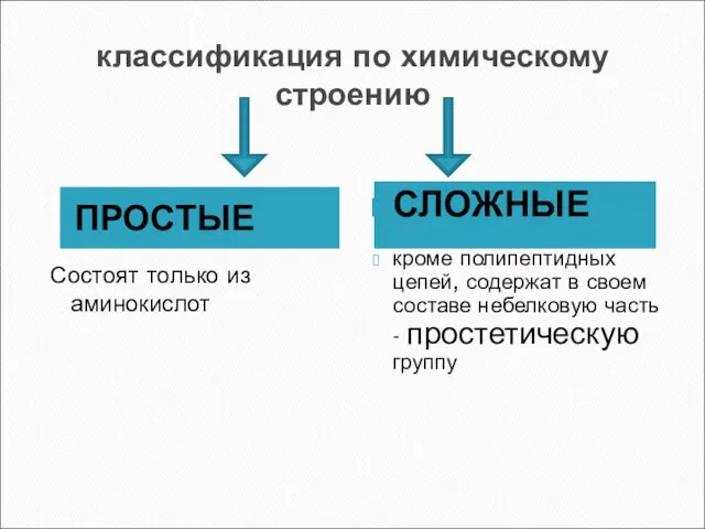 классификация по химическому строению ПРОСТЫЕ Состоят только из аминокислот СЛОЖНЫЕ кроме