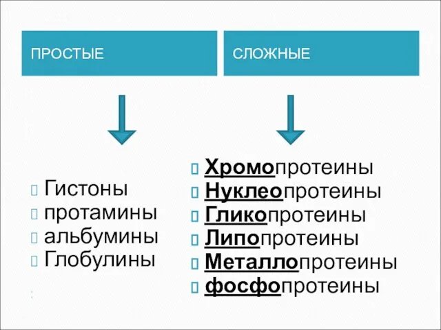 ПРОСТЫЕ СЛОЖНЫЕ Гистоны протамины альбумины Глобулины Хромопротеины Нуклеопротеины Гликопротеины Липопротеины Металлопротеины фосфопротеины