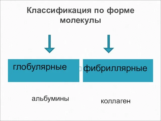 Классификация по форме молекулы глобулярные фибриллярные альбумины коллаген