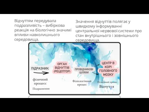 Відчуттям передувала подразливість – вибіркова реакція на біологічно значимі впливи навколишнього