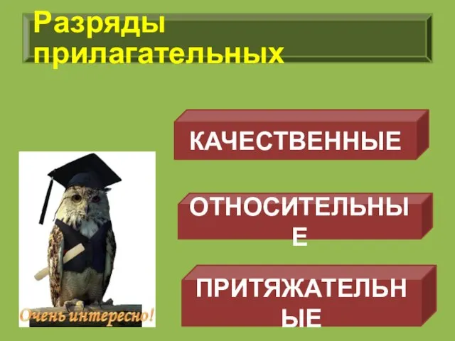 Разряды прилагательных КАЧЕСТВЕННЫЕ ОТНОСИТЕЛЬНЫЕ ПРИТЯЖАТЕЛЬНЫЕ