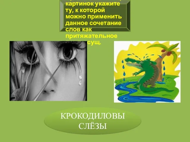 Задание №5 Среди данных пар картинок укажите ту, к которой можно