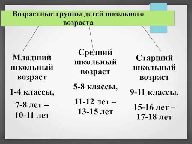 Возрастные группы детей школьного возраста Младший школьный возраст 1-4 классы, 7-8