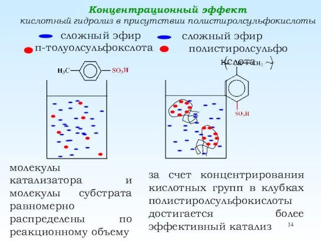 Концентрационный эффект кислотный гидролиз в присутствии полистиролсульфокислоты сложный эфир п-толуолсульфокслота сложный