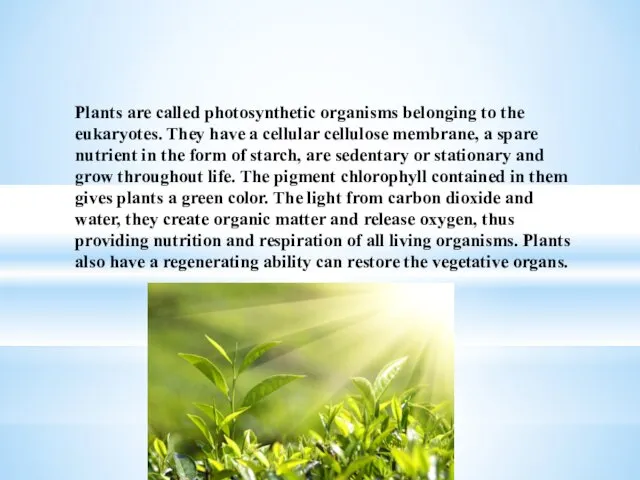 Plants are called photosynthetic organisms belonging to the eukaryotes. They have