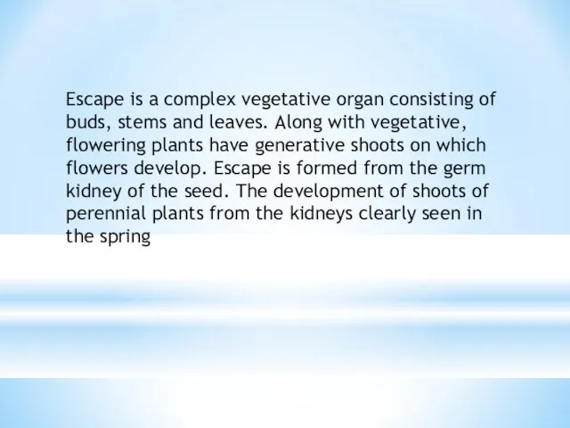 Escape is a complex vegetative organ consisting of buds, stems and