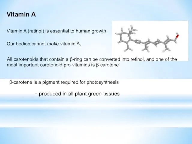 Vitamin A Vitamin A (retinol) is essential to human growth Our