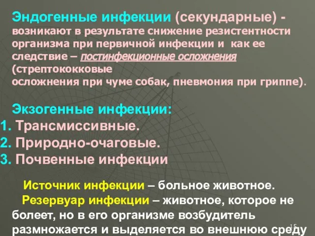 Эндогенные инфекции (секундарные) - возникают в результате снижение резистентности организма при