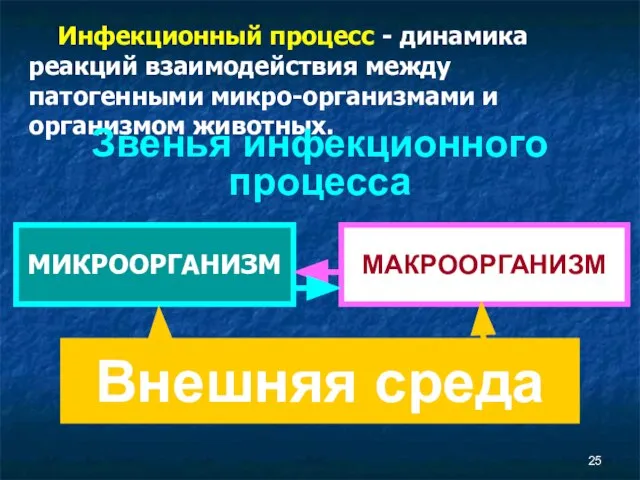 Инфекционный процесс - динамика реакций взаимодействия между патогенными микро-организмами и организмом