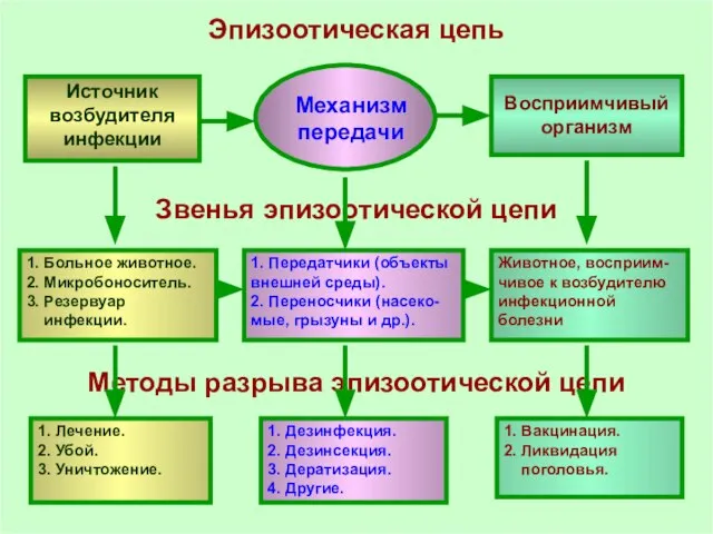 Эпизоотическая цепь Источник возбудителя инфекции Восприимчивый организм 1. Больное животное. 2.