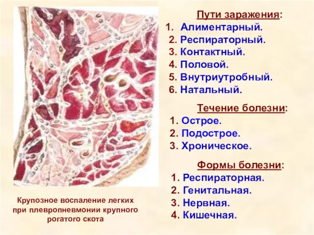 Формы болезни: 1. Респираторная. 2. Генитальная. 3. Нервная. 4. Кишечная. Пути