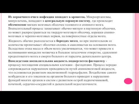 Из первичного очага инфекция попадает в кровоток. Микроорганизмы, минуя печень, попадают