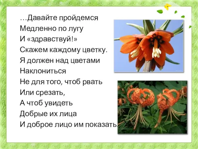 …Давайте пройдемся Медленно по лугу И «здравствуй!» Скажем каждому цветку. Я