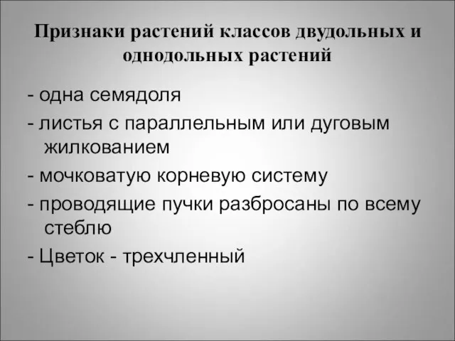 Признаки растений классов двудольных и однодольных растений - одна семядоля -