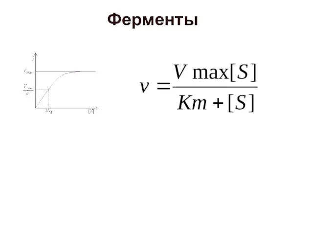 Ферменты ,