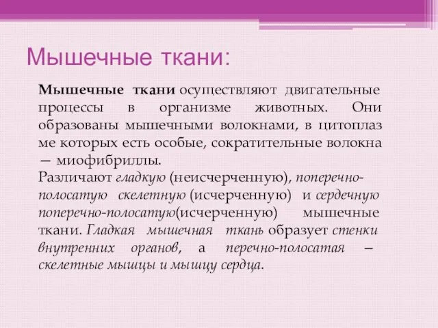 Мышечные ткани: Мышечные ткани осуществляют двигательные процессы в организме животных. Они