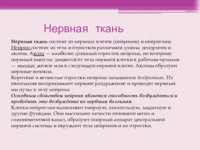 Нервная ткань Нервная ткань состоит из нервных клеток (нейронов) и нейроглии.