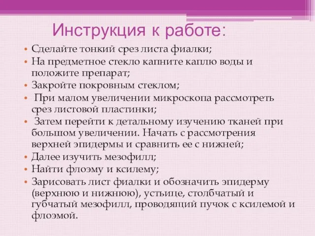 Инструкция к работе: Сделайте тонкий срез листа фиалки; На предметное стекло