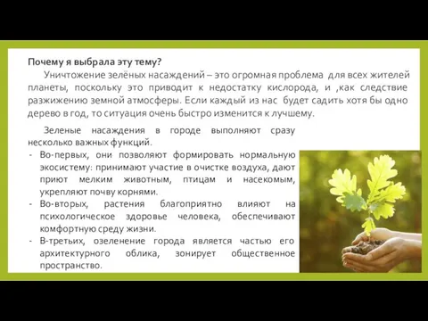 Почему я выбрала эту тему? Уничтожение зелёных насаждений – это огромная