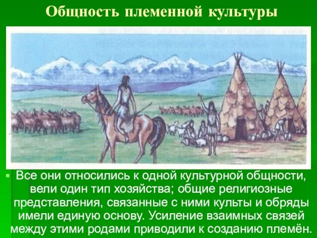 Общность племенной культуры Все они относились к одной культурной общности, вели