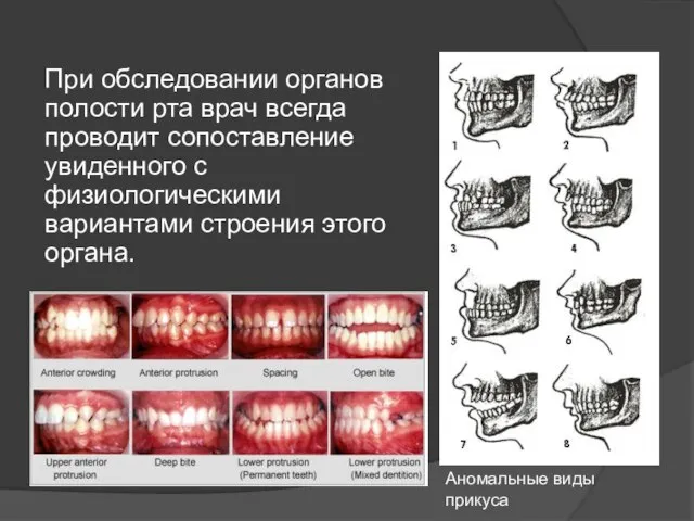 При обследовании органов полости рта врач всегда проводит сопоставление увиденного с