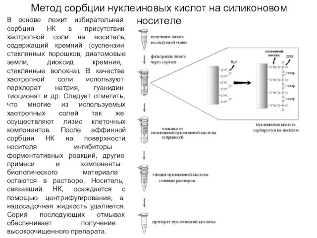 Метод сорбции нуклеиновых кислот на силиконовом носителе В основе лежит избирательная