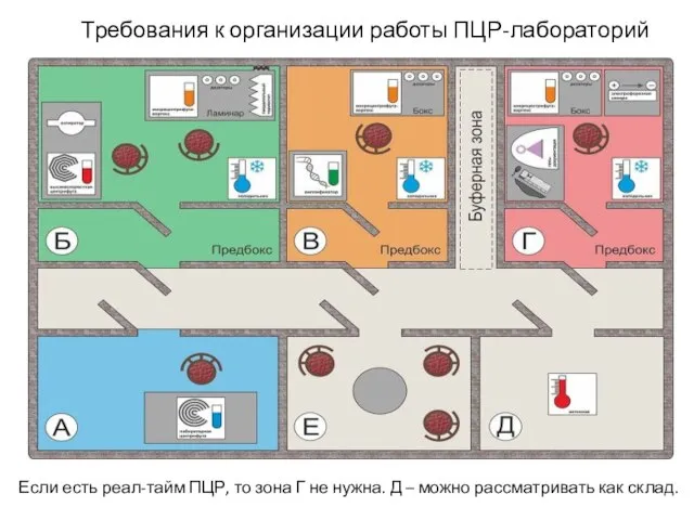 Требования к организации работы ПЦР-лабораторий Если есть реал-тайм ПЦР, то зона