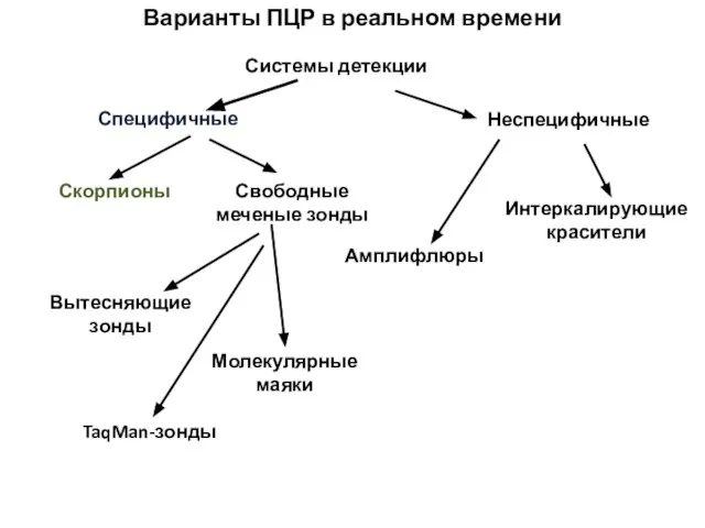 Варианты ПЦР в реальном времени Системы детекции Специфичные Неспецифичные Интеркалирующие красители