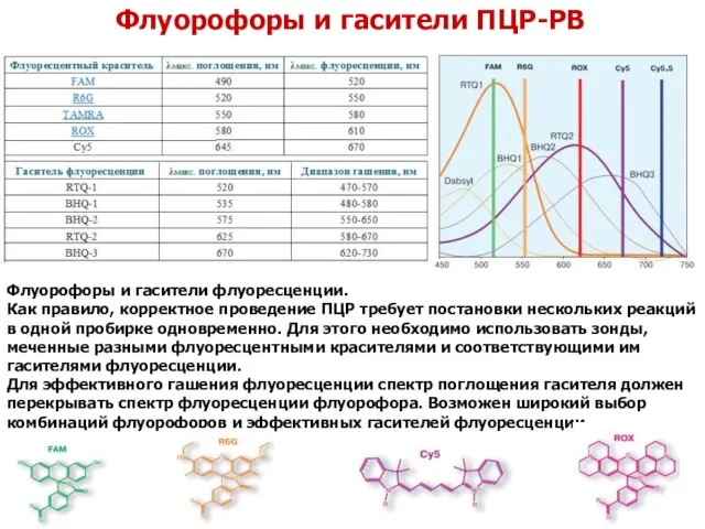 Флуорофоры и гасители ПЦР-РВ Флуорофоры и гасители флуоресценции. Как правило, корректное