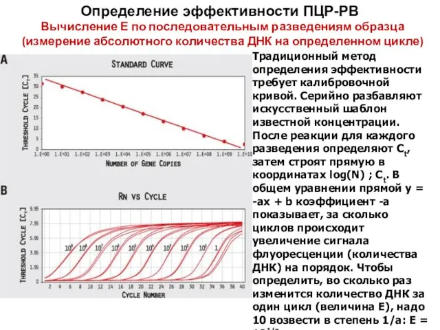 Определение эффективности ПЦР-РВ Вычисление Е по последовательным разведениям образца (измерение абсолютного