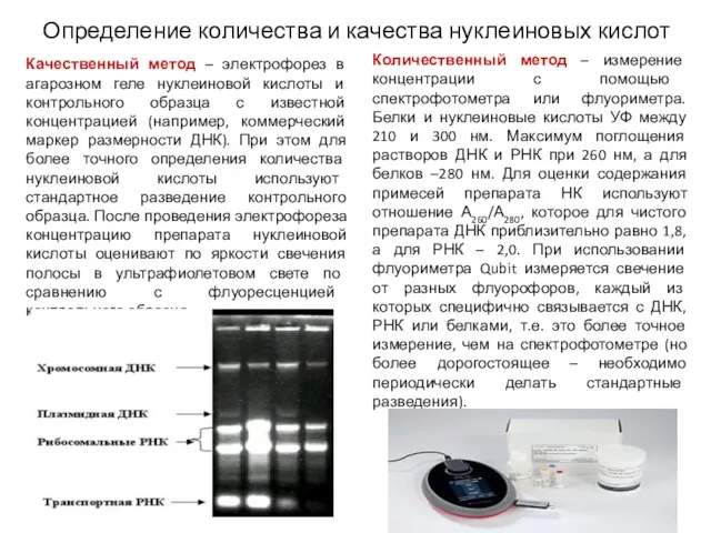 Определение количества и качества нуклеиновых кислот Качественный метод – электрофорез в