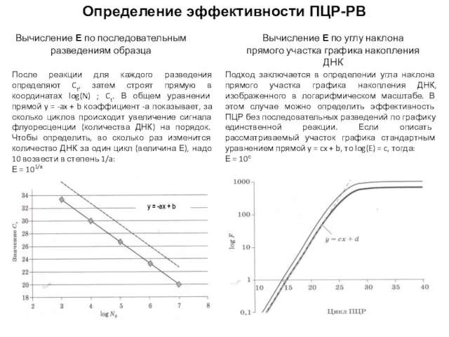 Определение эффективности ПЦР-РВ Вычисление Е по последовательным разведениям образца Вычисление Е