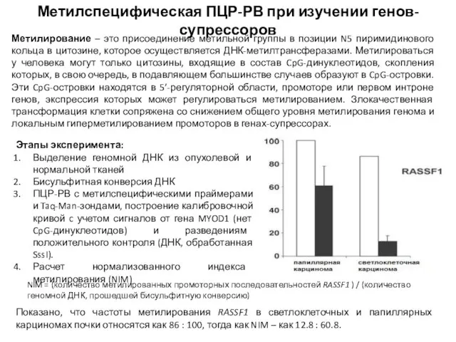 Метилспецифическая ПЦР-РВ при изучении генов-супрессоров Метилирование – это присоединение метильной группы