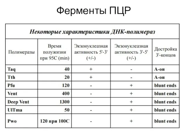 Ферменты ПЦР