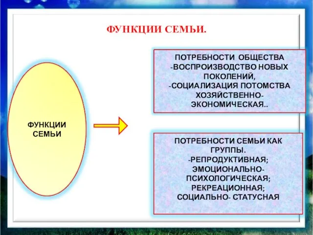 ФУНКЦИИ СЕМЬИ.