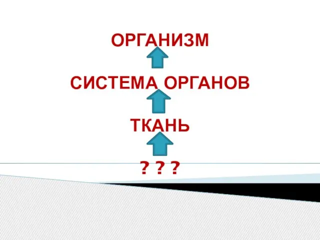 ОРГАНИЗМ СИСТЕМА ОРГАНОВ ТКАНЬ ? ? ?