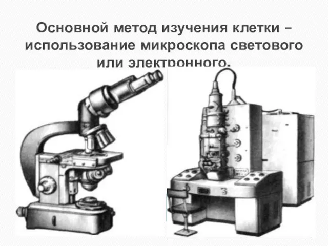 Основной метод изучения клетки – использование микроскопа светового или электронного.