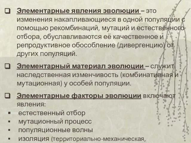 Элементарные явления эволюции – это изменения накапливающиеся в одной популяции с