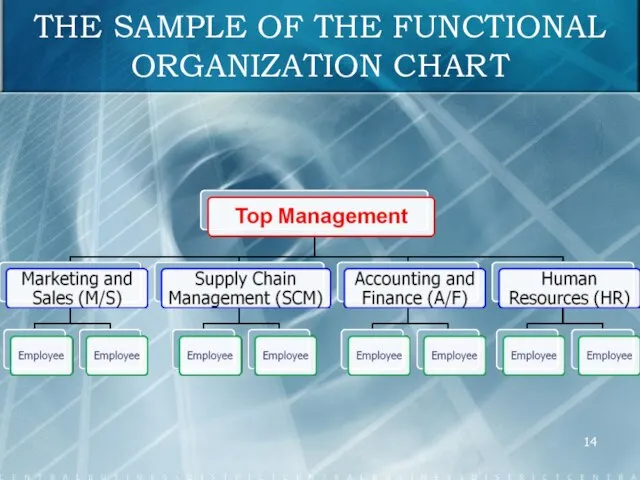 THE SAMPLE OF THE FUNCTIONAL ORGANIZATION CHART