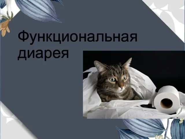 Функциональная диарея