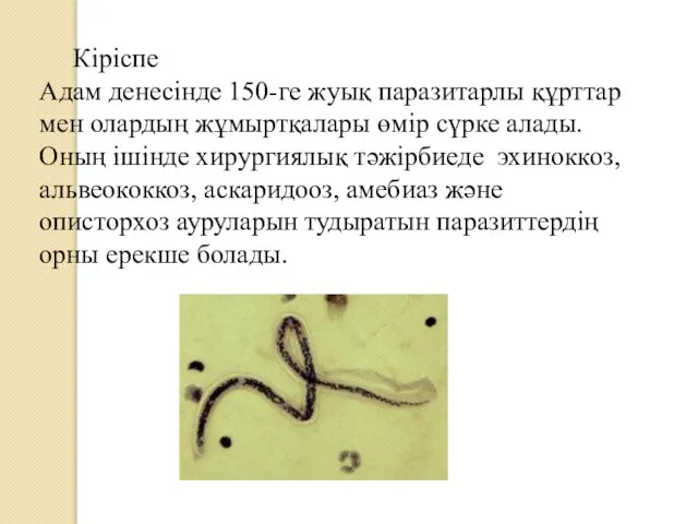 Кіріспе Адам денесінде 150-ге жуық паразитарлы құрттар мен олардың жұмыртқалары өмір