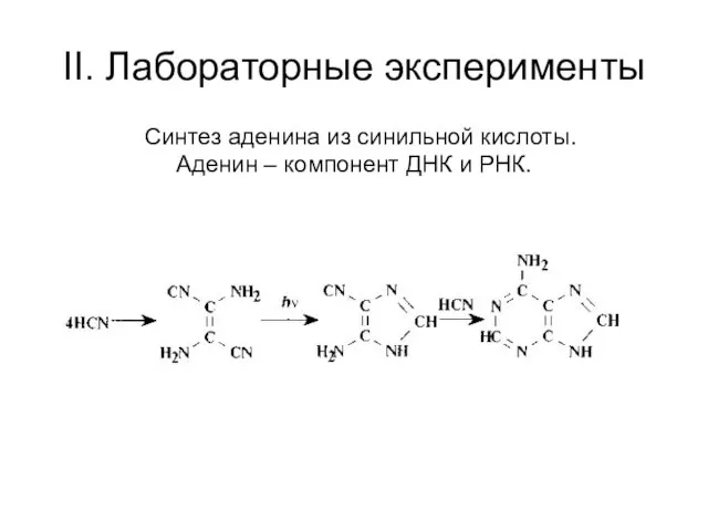 II. Лабораторные эксперименты Синтез аденина из синильной кислоты. Аденин – компонент ДНК и РНК.