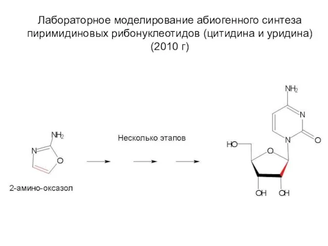 Лабораторное моделирование абиогенного синтеза пиримидиновых рибонуклеотидов (цитидина и уридина) (2010 г)
