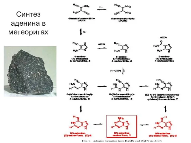 Синтез аденина в метеоритах