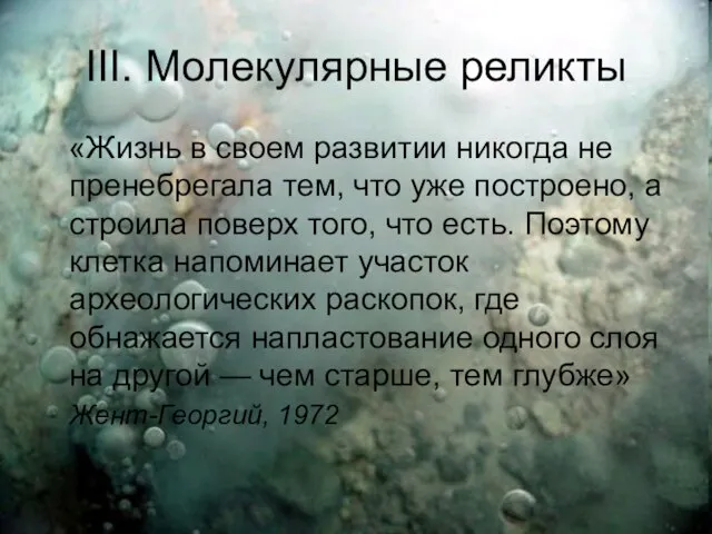 III. Молекулярные реликты «Жизнь в своем развитии никогда не пренебрегала тем,