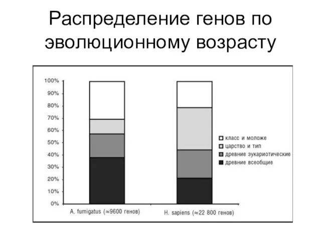 Распределение генов по эволюционному возрасту