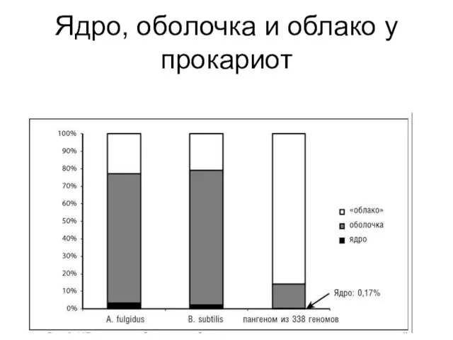 Ядро, оболочка и облако у прокариот